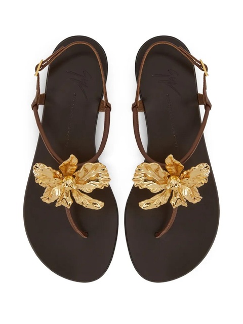 Giuseppe Zanotti Orchid sandals - Brown - zdjęcie produktu nr 2