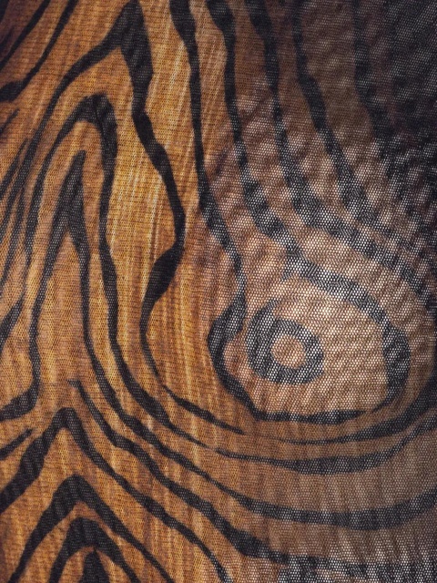 Jean Paul Gaultier tiger-print mesh bodysuit - Black - zdjęcie produktu nr 2