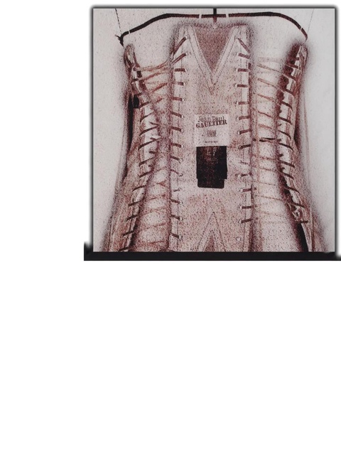 Jean Paul Gaultier printed corset scarf - Neutrals - zdjęcie produktu nr 1