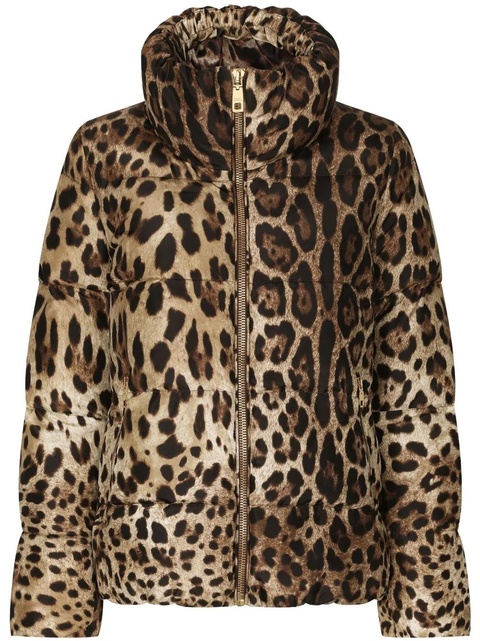 Dolce & Gabbana leopard-print padded jacket - Brown - zdjęcie produktu nr 1