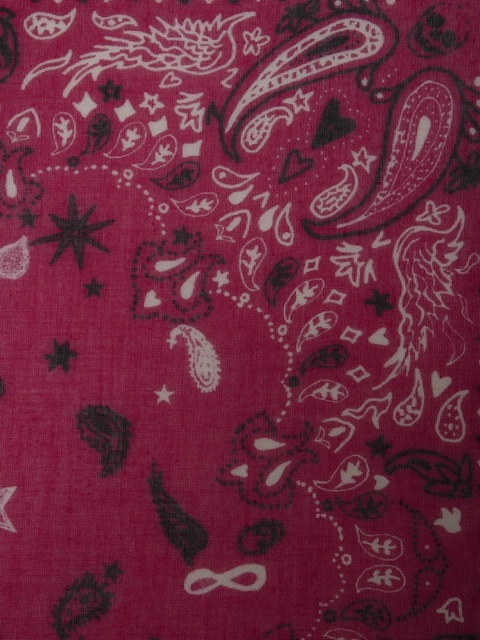 Zadig&Voltaire Maddie scarf - Pink - zdjęcie produktu nr 2