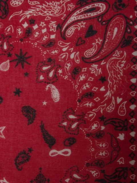 Zadig&Voltaire Maddie scarf - Red - zdjęcie produktu nr 2