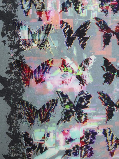 Zadig&Voltaire Blondie scarf - Grey - zdjęcie produktu nr 1