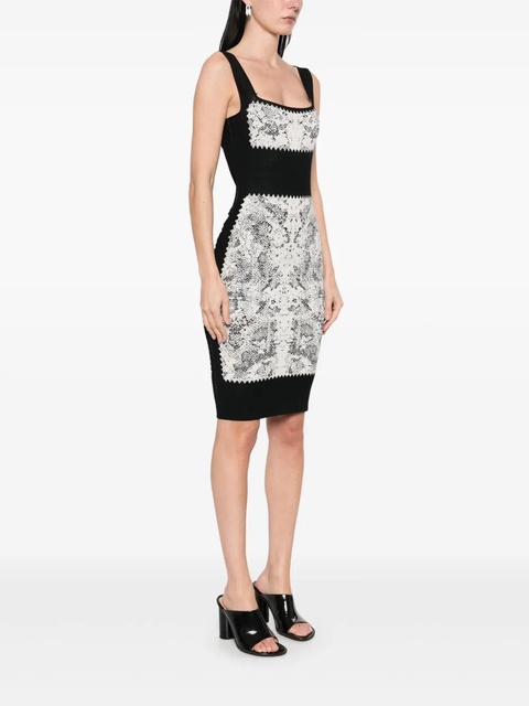 Alexander McQueen snake print knit dress - Black - zdjęcie produktu nr 1