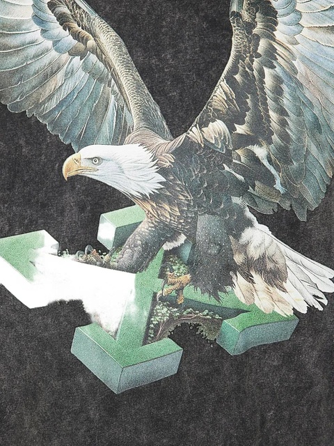 Off-White Eagle Arrow graphic-print T-shirt - Grey - zdjęcie produktu nr 2