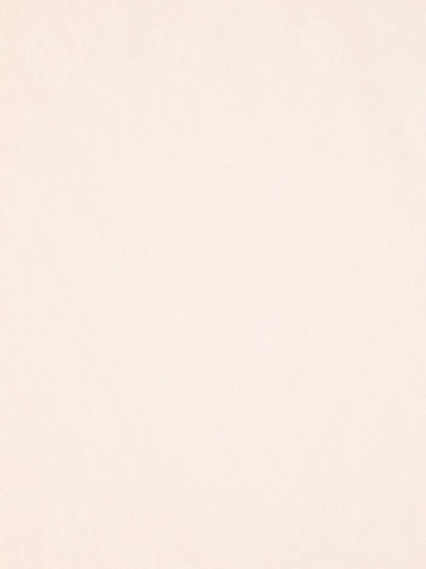 PINKO fringed-edge rectangular scarf - zdjęcie produktu nr 2