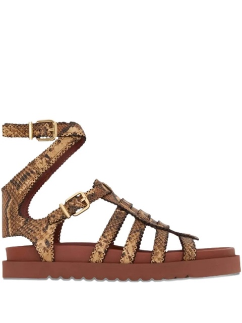 ZIMMERMANN Goldie Gladiator buckle sandals - Brown - zdjęcie produktu nr 1