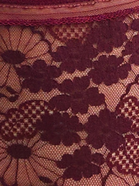 ERES floral-lace high-waisted briefs - Purple - zdjęcie produktu nr 2