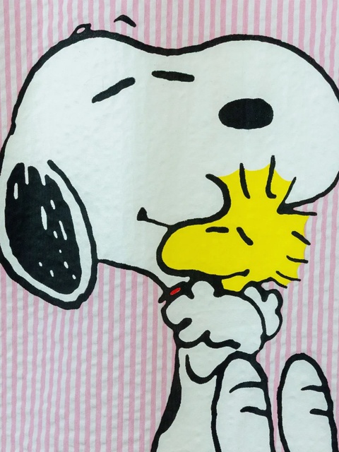 MC2 Saint Barth Brigitte Snoopy-print striped shirt - Pink - zdjęcie produktu nr 2