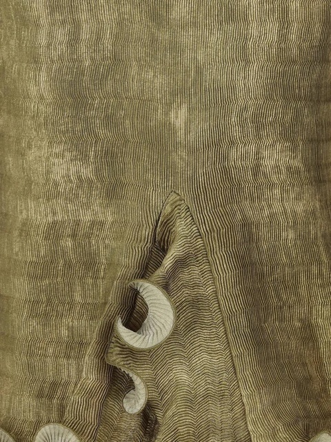 FENDI ruffled midi skirt - Green - zdjęcie produktu nr 2