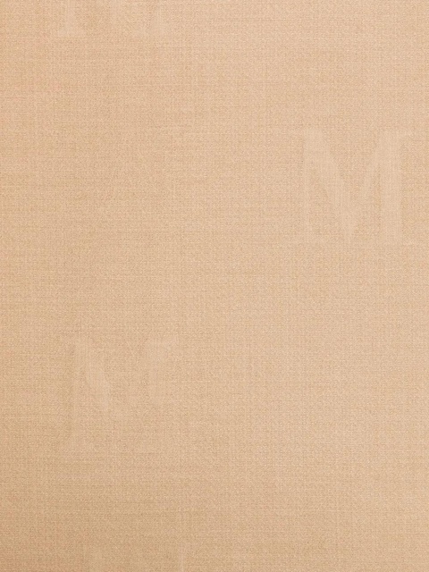 Max Mara Curvone scarf - Neutrals - zdjęcie produktu nr 2